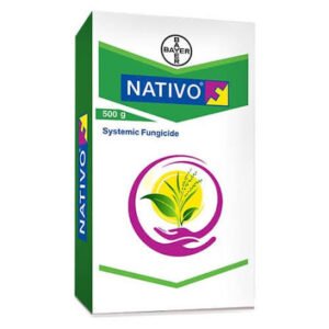 bayer nativo